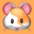 b站大片直播APP应用