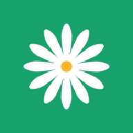 91网站免费版APP应用
