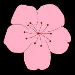 WWW,230av·COM网站APPAPP应用